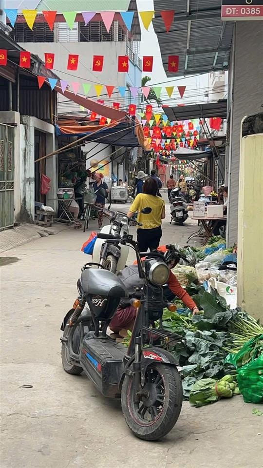 Chính chủ gửi bán lô đất 95,6m tại lâm hộ diện tích 95,6m vị trí đẹp, trục chính kinh doa