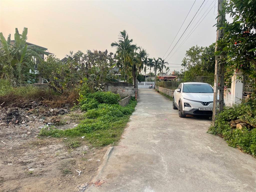 Lô đất thái thịnh  thái thụy  thái bình đường ô tô tránh nhau gần ủy ban trường học vài