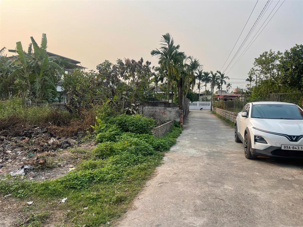 Lô đất thái thịnh  thái thụy  thái bình đường ô tô tránh nhau gần ủy ban trường học vài