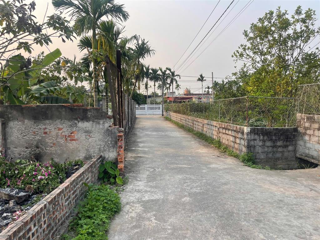 Lô đất thái thịnh  thái thụy  thái bình đường ô tô tránh nhau gần ủy ban trường học vài