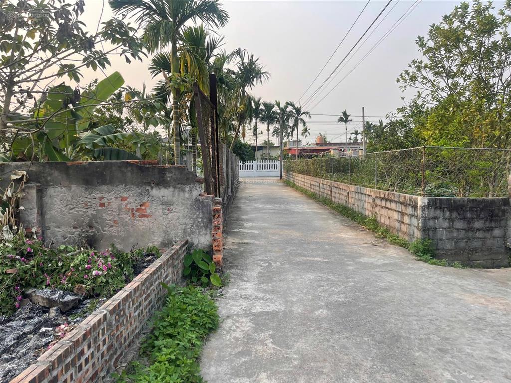 Lô đất thái thịnh  thái thụy  thái bình đường ô tô tránh nhau gần ủy ban trường học vài