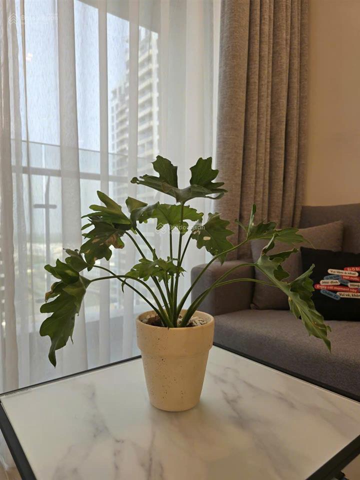 Căn hộ cho thuê lumiere boulevard  vinhomes grand park