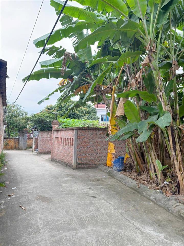 Bán đất hạ bằng sát khu công nghệ cao hòa lạc 63 m² giá 3 tỷ