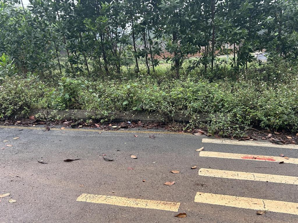 Bán đất luc quân sơn đông cổ đông 280 m , mặt tiền 26 m, giá 6,7 tỷ