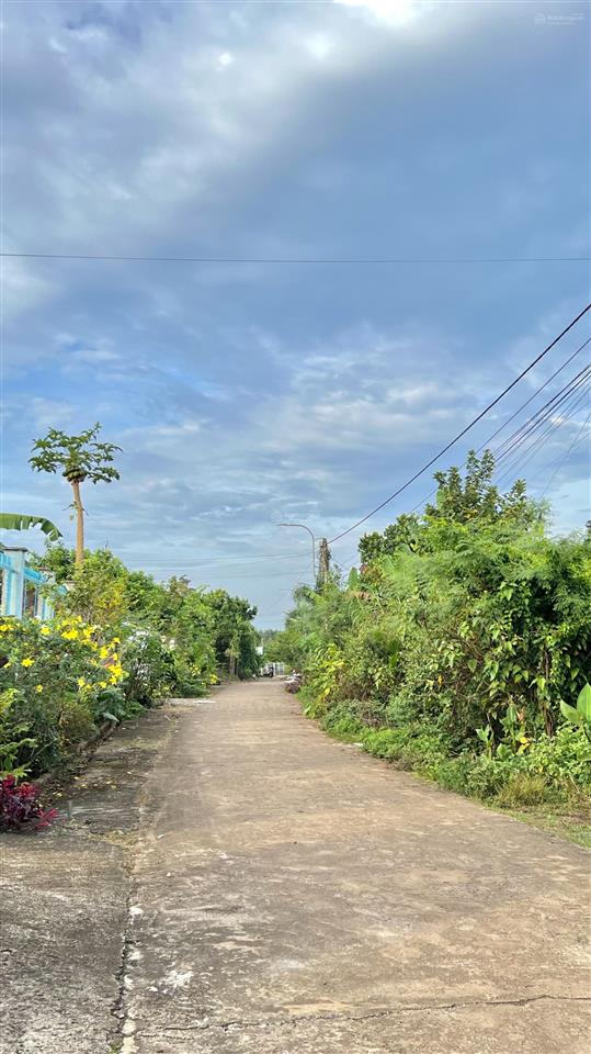 Cơ hội sở hữu hơn 500m² với 180m² thổ cư, sổ riêng nằm giữa lòng khu dân cư mà giá mềm xèo 2tx