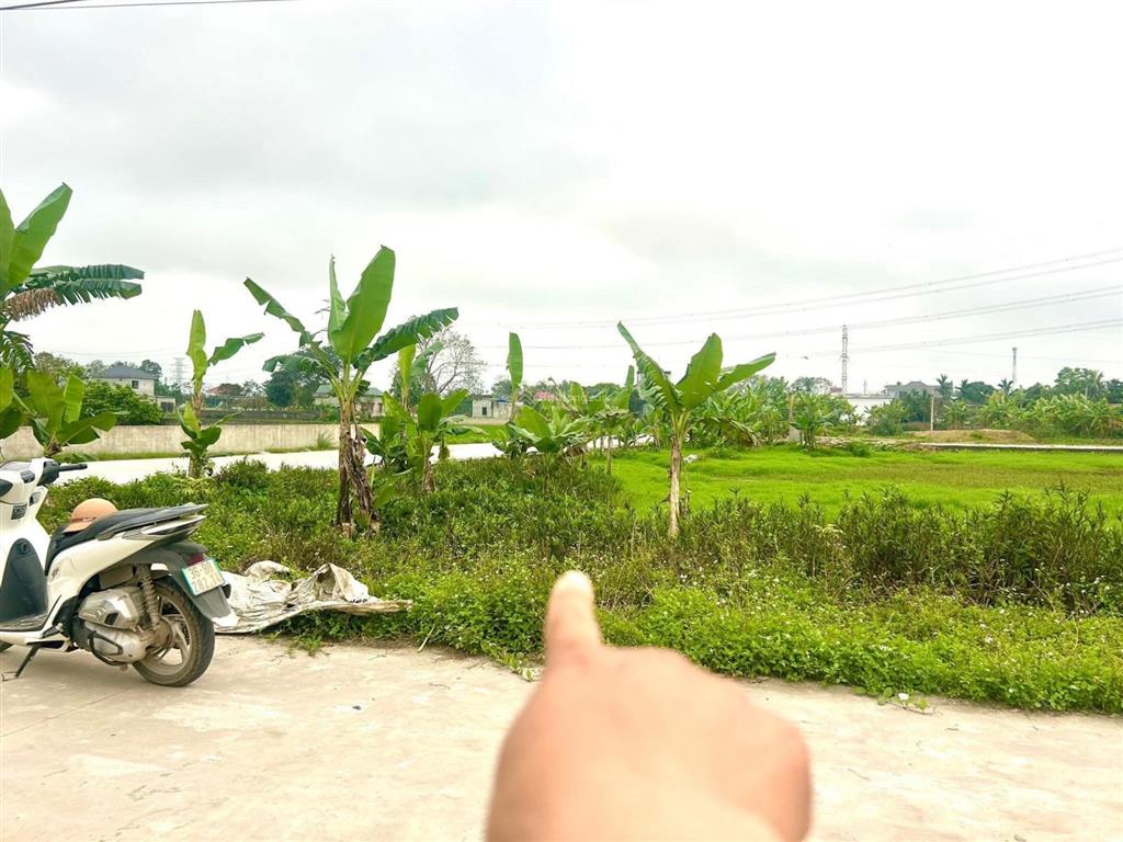 Bán lô đất đẹp thọ lộc đồng tiến  triệu sơn ngay kcn 650ha và nút giao cao tốc