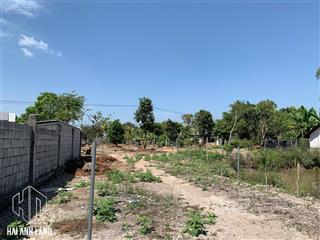 Bán 25 công đất mặt tiền kênh đòn dong gần kcn thạnh lộc