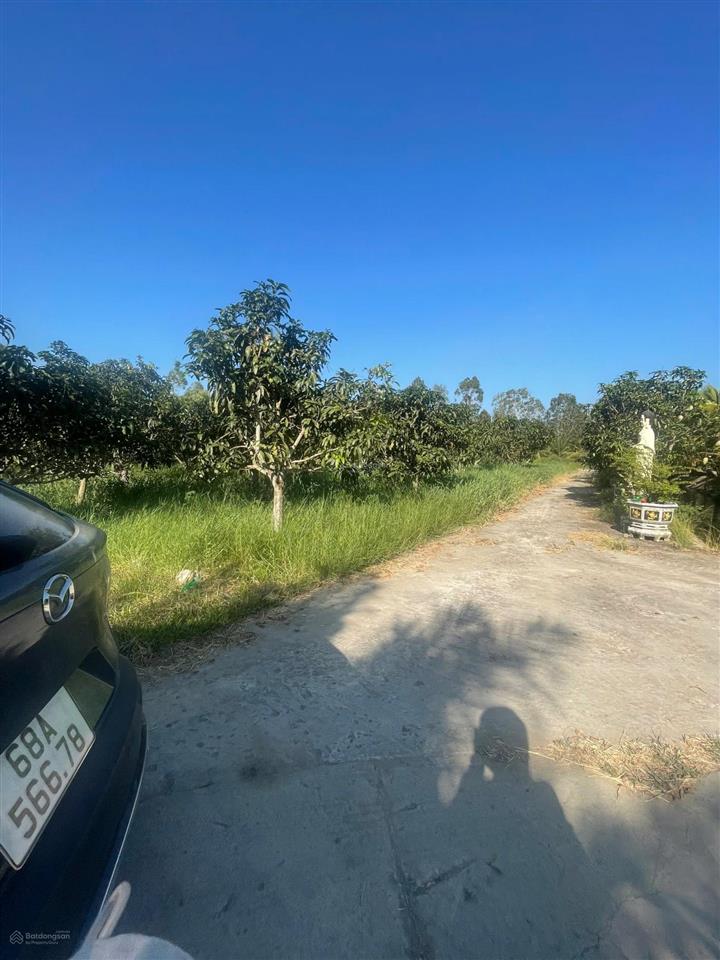 Chuyển nhượng dự án hoa viên nghĩa trang gần rạch sỏi