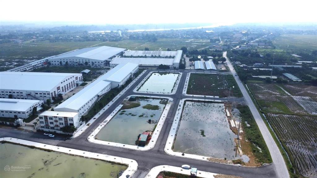 Mb xuân hồng thọ xuân thanh hoá