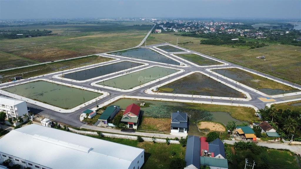 Mb xuân hồng thọ xuân thanh hoá
