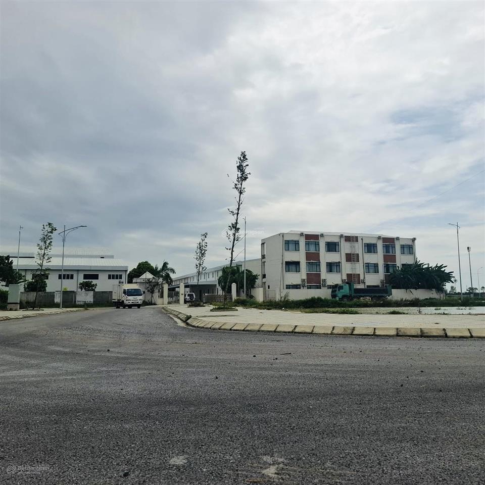 Mb xuân hồng thọ xuân thanh hoá
