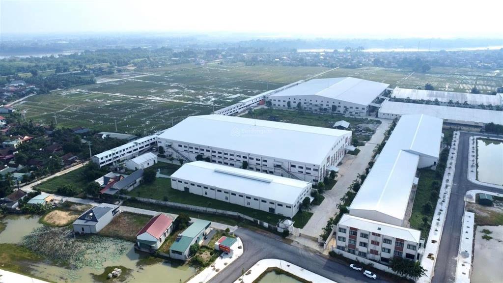 Mb xuân hồng thọ xuân thanh hoá