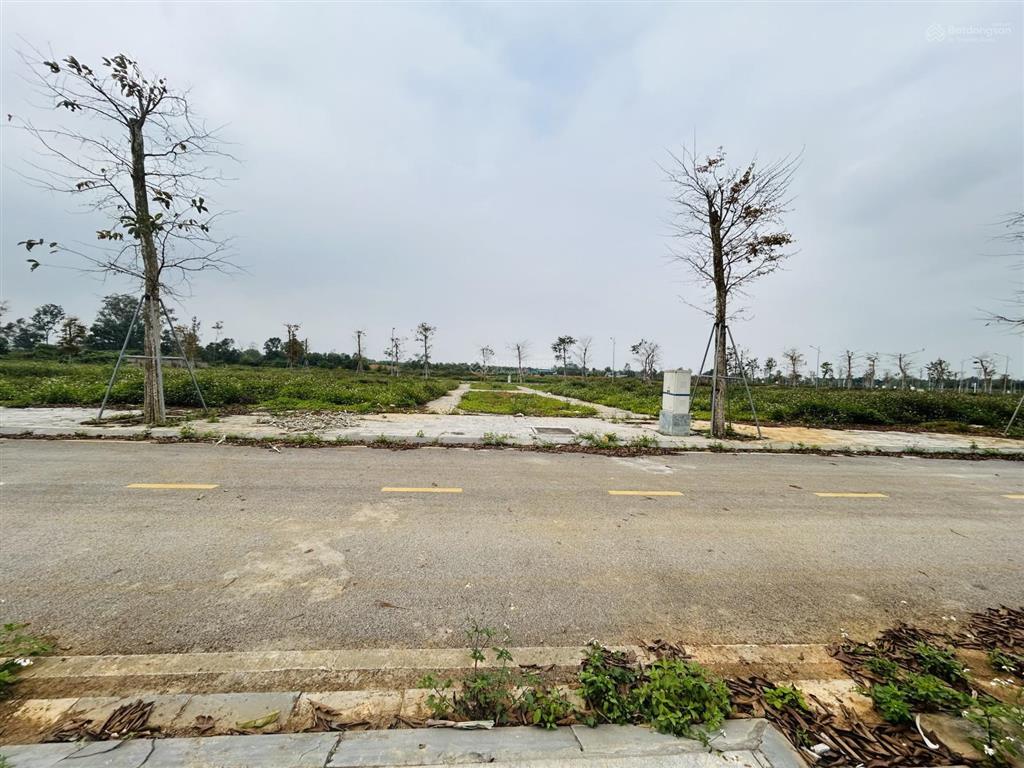 Bán đất khu đô thị sao mai thọ xuân, sẵn sổ hồng