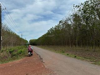 Bán lô đất nền đẹp  ngay kcn bến củi  giá rẻ chỉ 340 triệu/lô