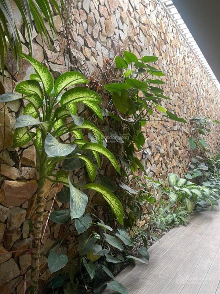 Chủ ngộp bank bán gấp nhà mặt tiền đường gò dưa, phường tam bình, 230m2, ngang 8m