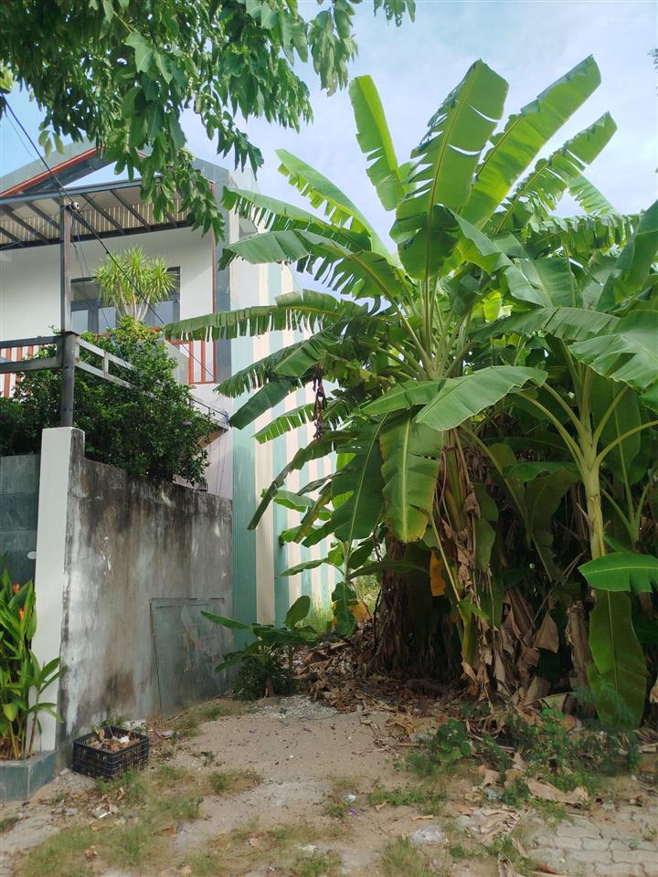 Bán đất tại bá giáng 5, hòa quý, gần trường học, công viên