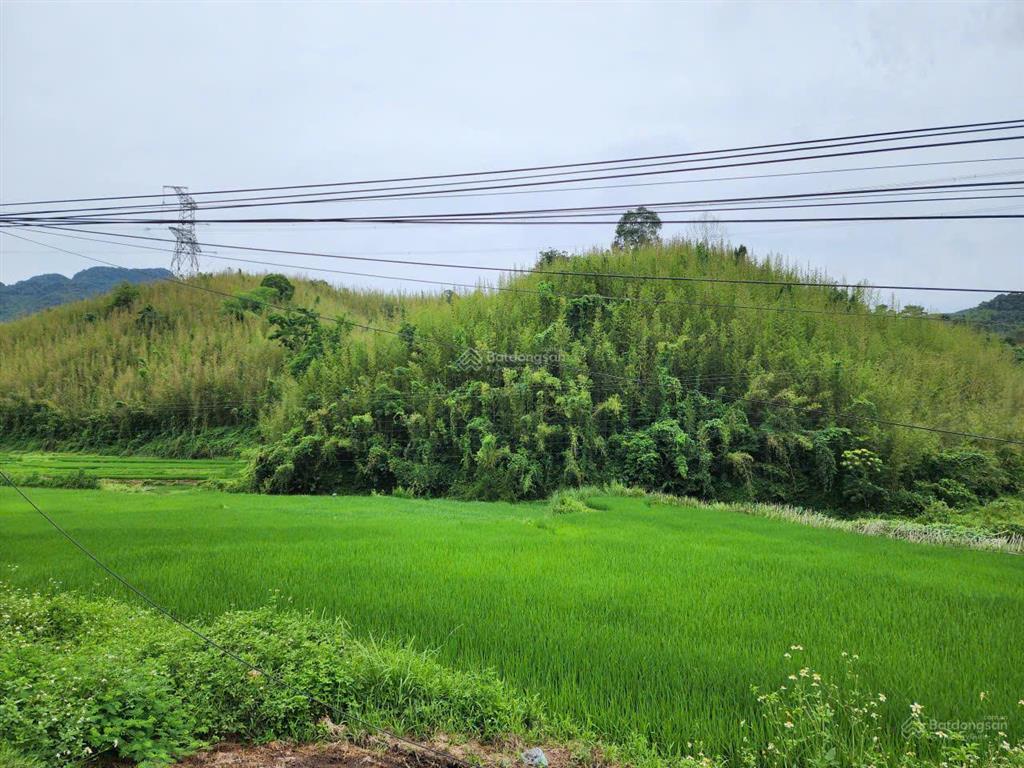 Bán đất xã thung nai, phú thọ, giá tốt 1.6 tỷ, 800 m2