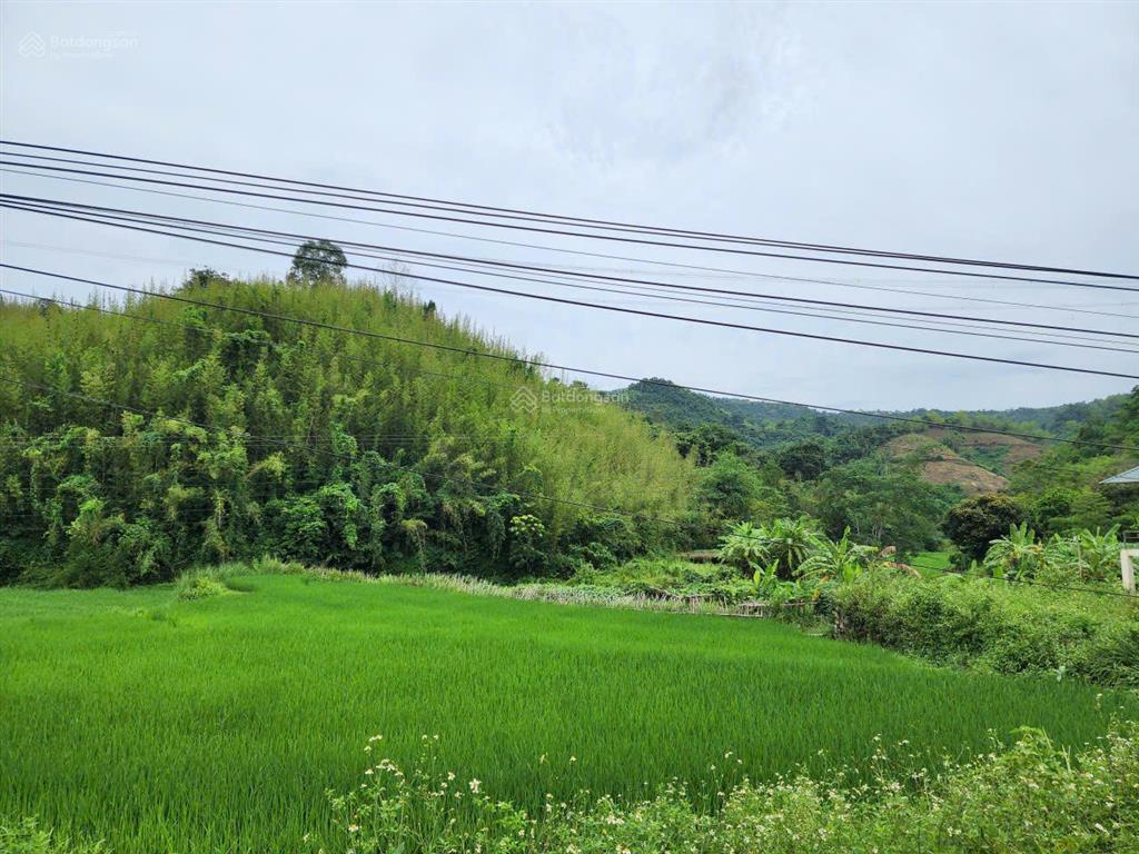 Bán đất xã thung nai, phú thọ, giá tốt 1.6 tỷ, 800 m2