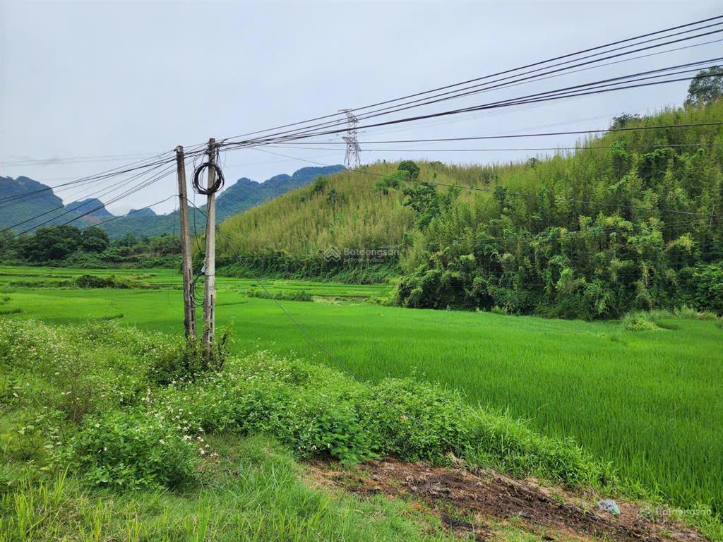 Bán đất xã thung nai, phú thọ, giá tốt 1.6 tỷ, 800 m2