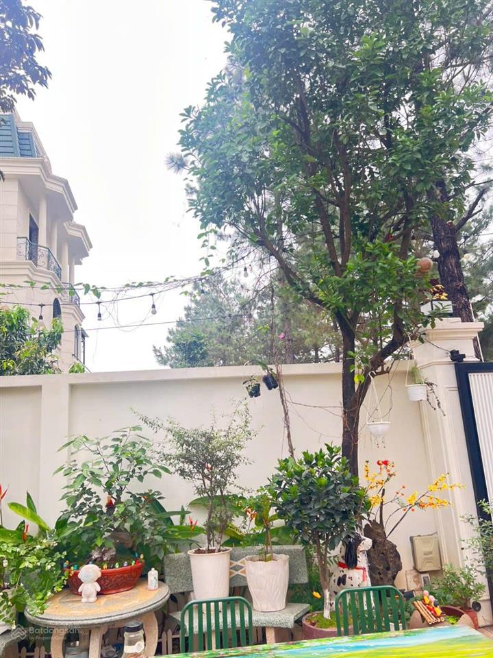 Bán bt song lập phoenix  hướng đông nam  ngay trung tâm thành phố.  0973 030 ***