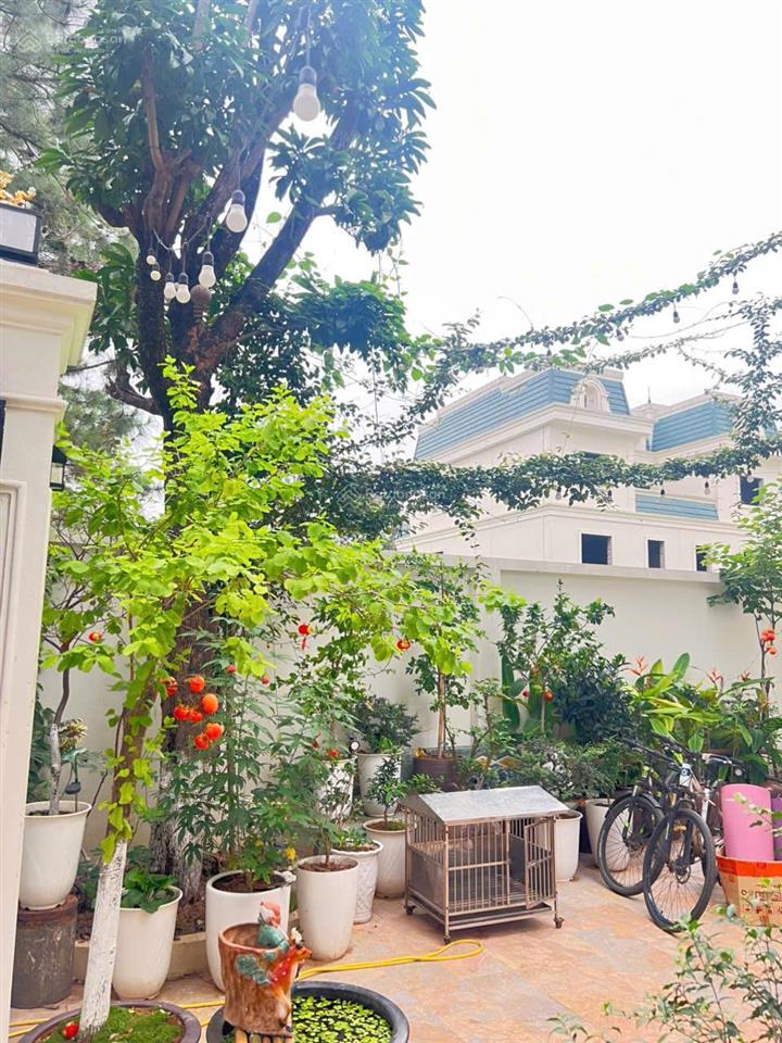 Bán bt song lập phoenix  hướng đông nam  ngay trung tâm thành phố.  0973 030 ***