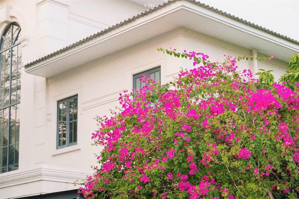 Chủ nhà cần tiền bán gấp biệt thự đơn lập zone 4 la maison giá tốt nhất swanbay  chỉ 20,5 tỷ