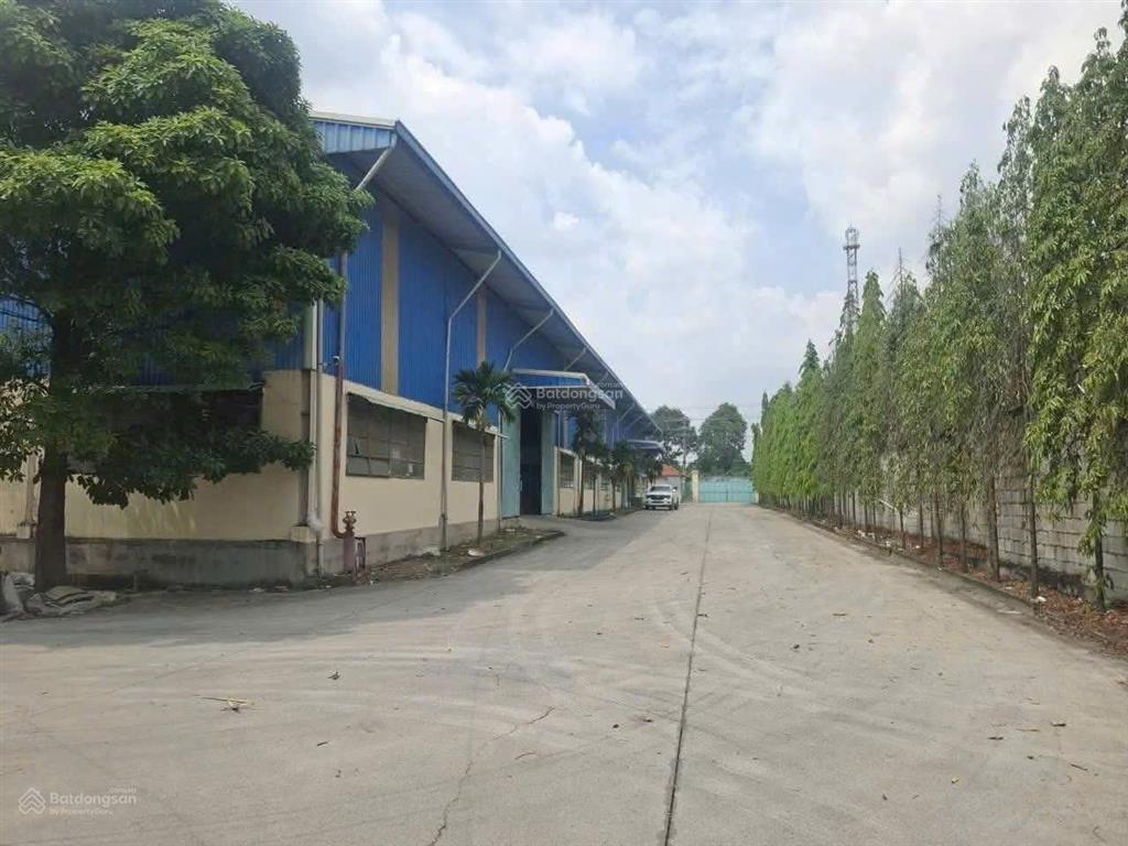 Cho thuê 6.600m2 nhà xưởng tân định bến cát bình dương pccc tự động