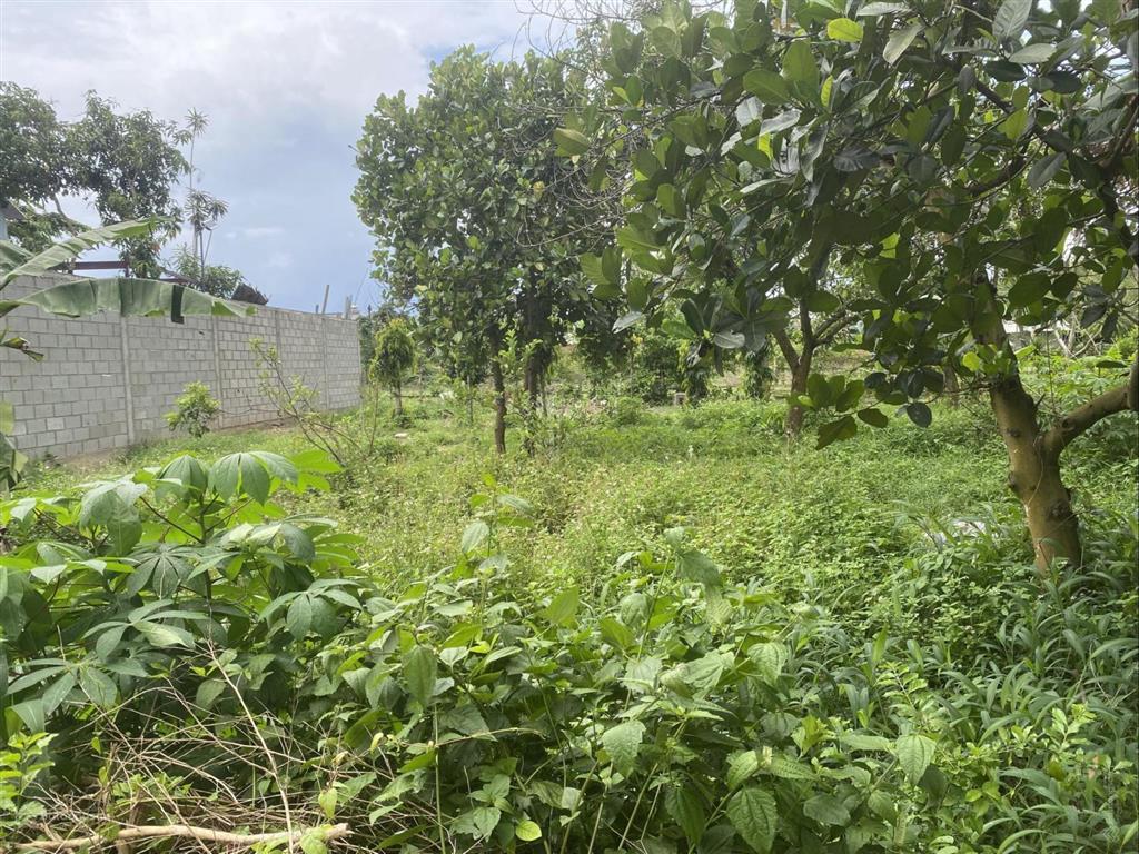 Bán đất 750m2 lô góc 2 mặt tiền có 250m2 thổ cư phú đông, nhơn trạch, đồng nai