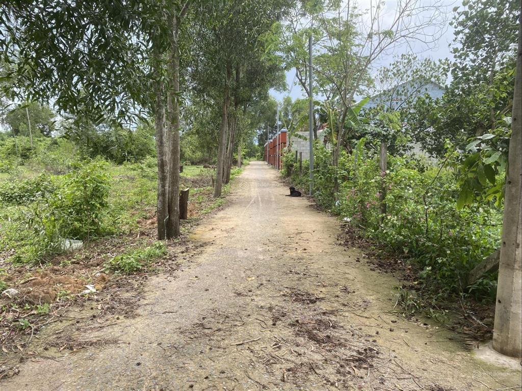 Bán đất 750m2 lô góc 2 mặt tiền có 250m2 thổ cư phú đông, nhơn trạch, đồng nai