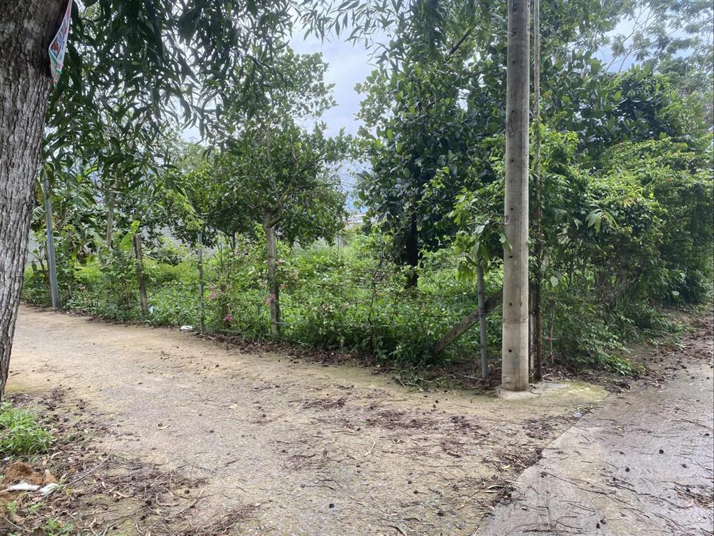 Bán đất 750m2 lô góc 2 mặt tiền có 250m2 thổ cư phú đông, nhơn trạch, đồng nai