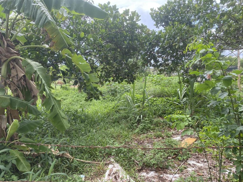 Bán đất 750m2 lô góc 2 mặt tiền có 250m2 thổ cư phú đông, nhơn trạch, đồng nai