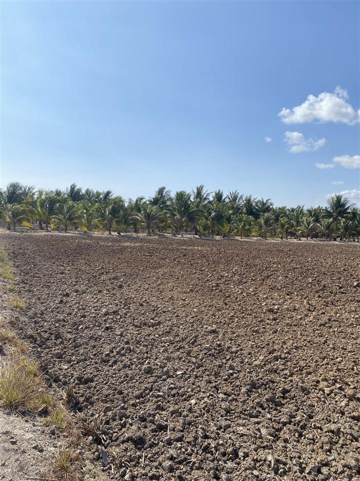 Bán 1000m2 đất nông nghiệp xã phú đông, nhơn trạch, đồng nai