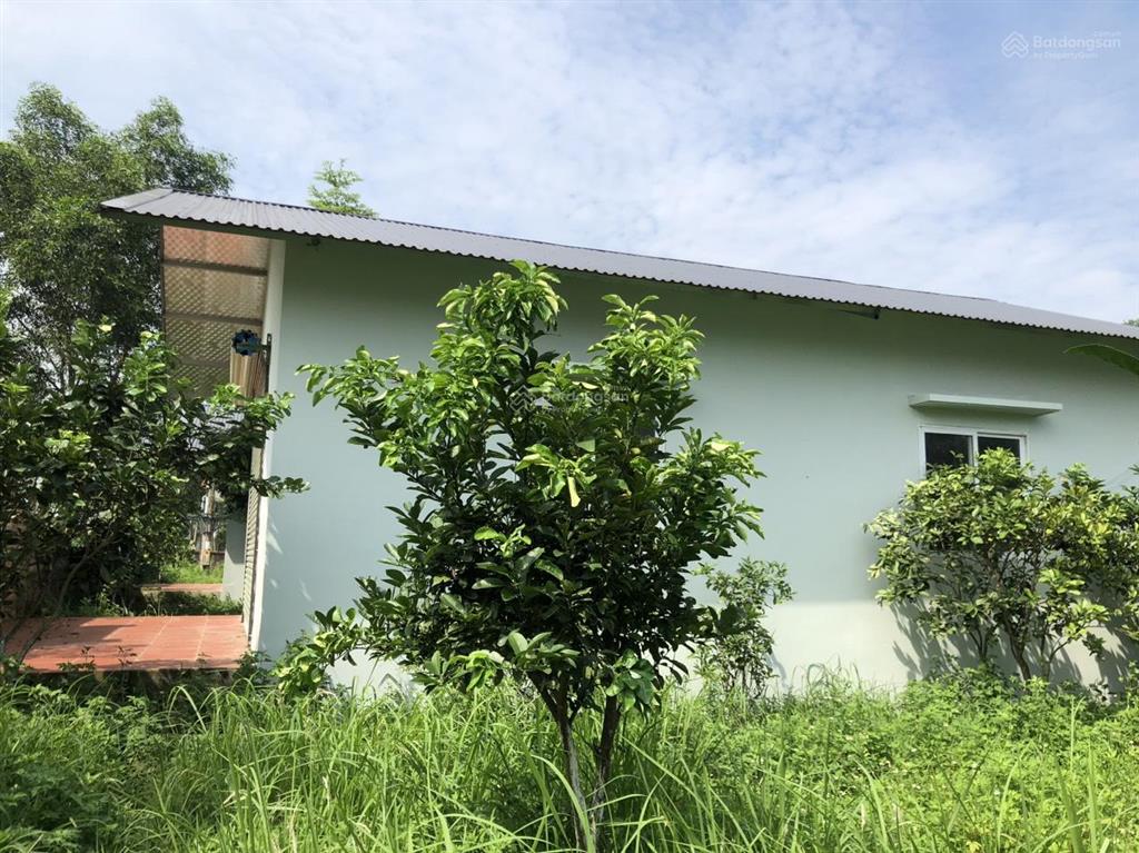 Cho thuê kiot, cửa hàng cạnh hồ đại lải, đối diện flamigo  giá thuê chuẩn 5tr/tháng  0904 733 ***