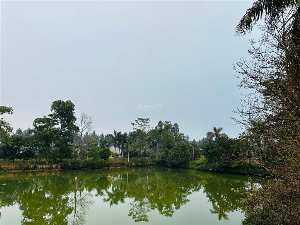 Cho thuê biệt thự nhà vườn dt 180m², 4 phòng ngủ, sân vườn rộng, có sân bóng đa năng  memory house
