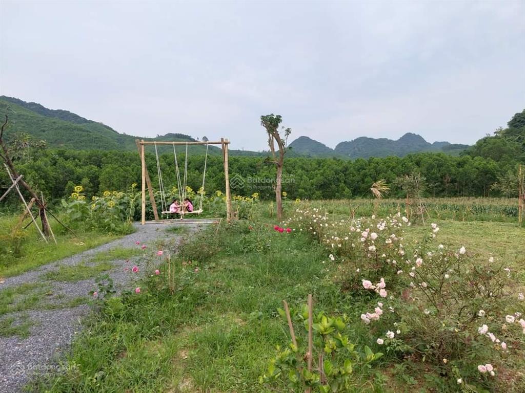 Chính chủ bán đất nghỉ dưỡng cúc phương  kỳ phú, nho quan, ninh bình