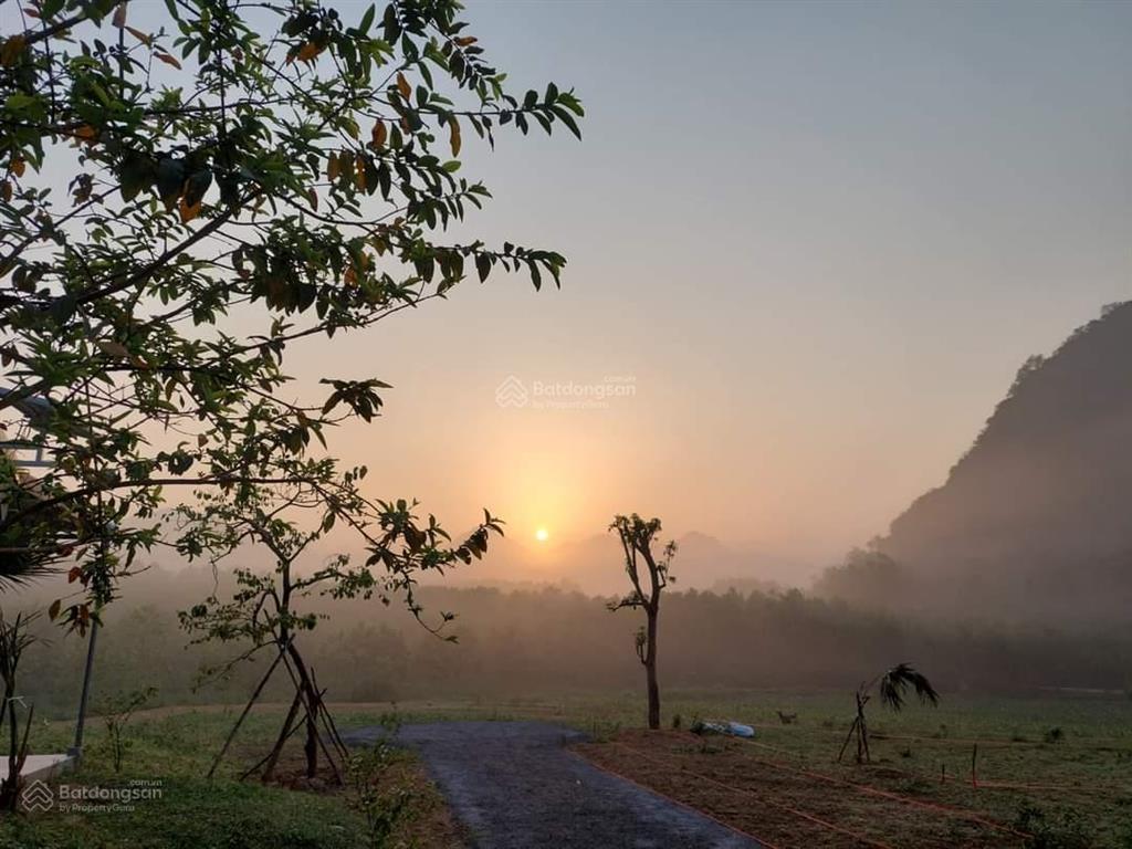 Chính chủ bán đất nghỉ dưỡng cúc phương  kỳ phú, nho quan, ninh bình