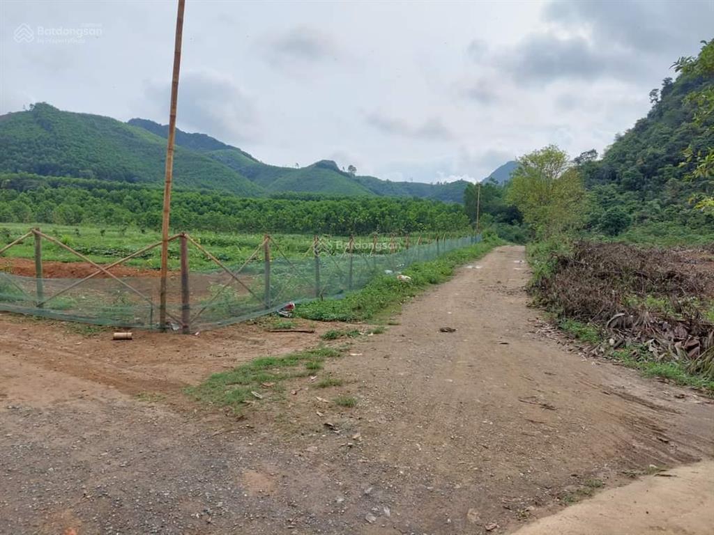 Chính chủ bán đất nghỉ dưỡng cúc phương  kỳ phú, nho quan, ninh bình