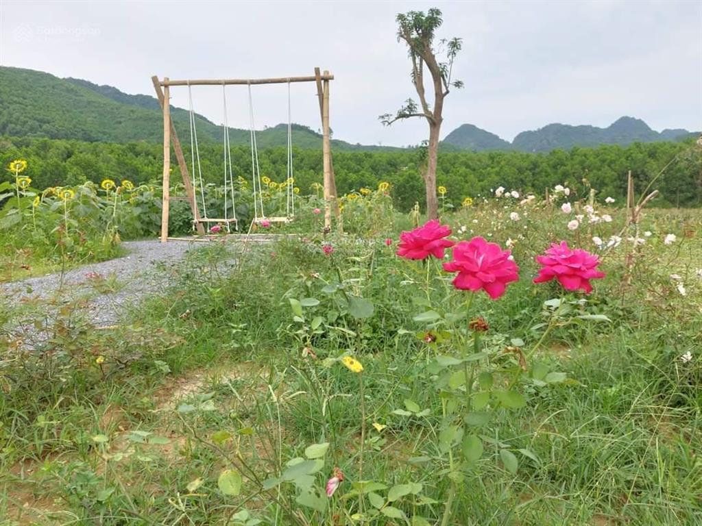 Chính chủ bán đất nghỉ dưỡng cúc phương  kỳ phú, nho quan, ninh bình