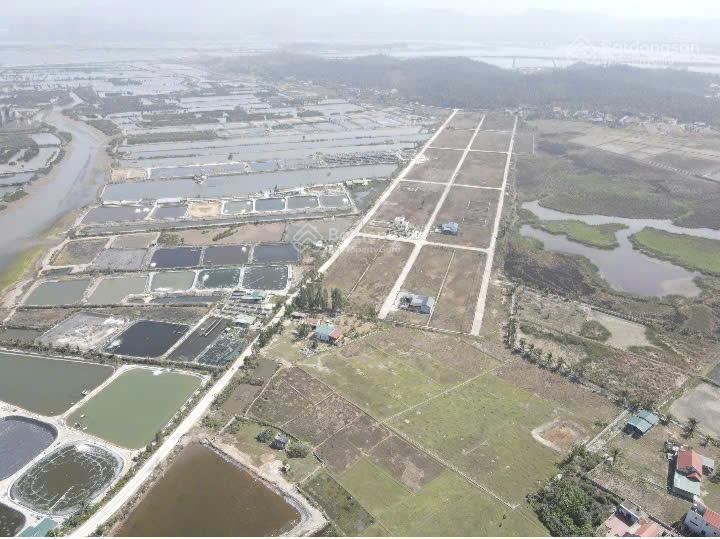 Chính chủ bán lô đất vàng 312m² sát siêu dự án vinhomes hạ long xanh (dự án lớn nhất miền bắc)