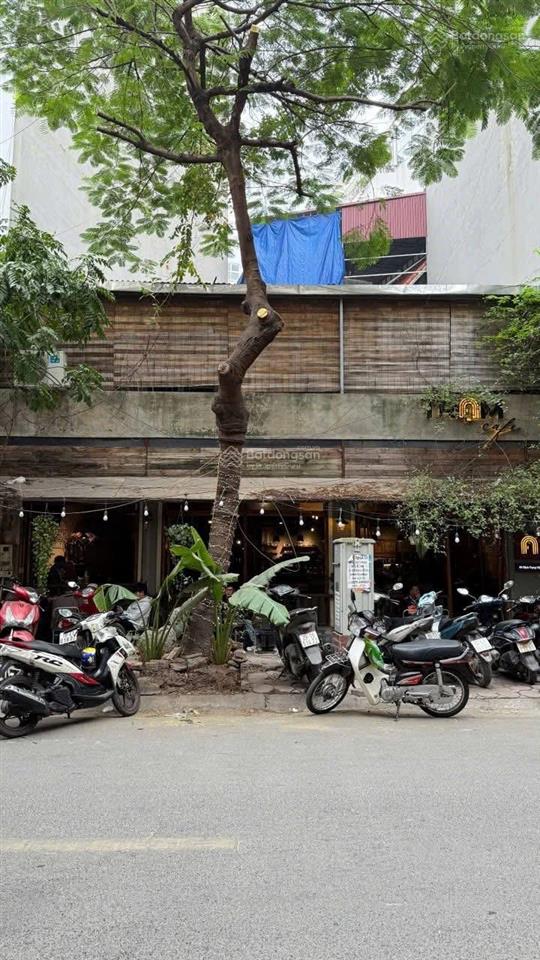 Bán nhà mặt phố dịch vọng hậu, 88 tỷ, 140m2, view đẹp, cầu giấy, hà nội