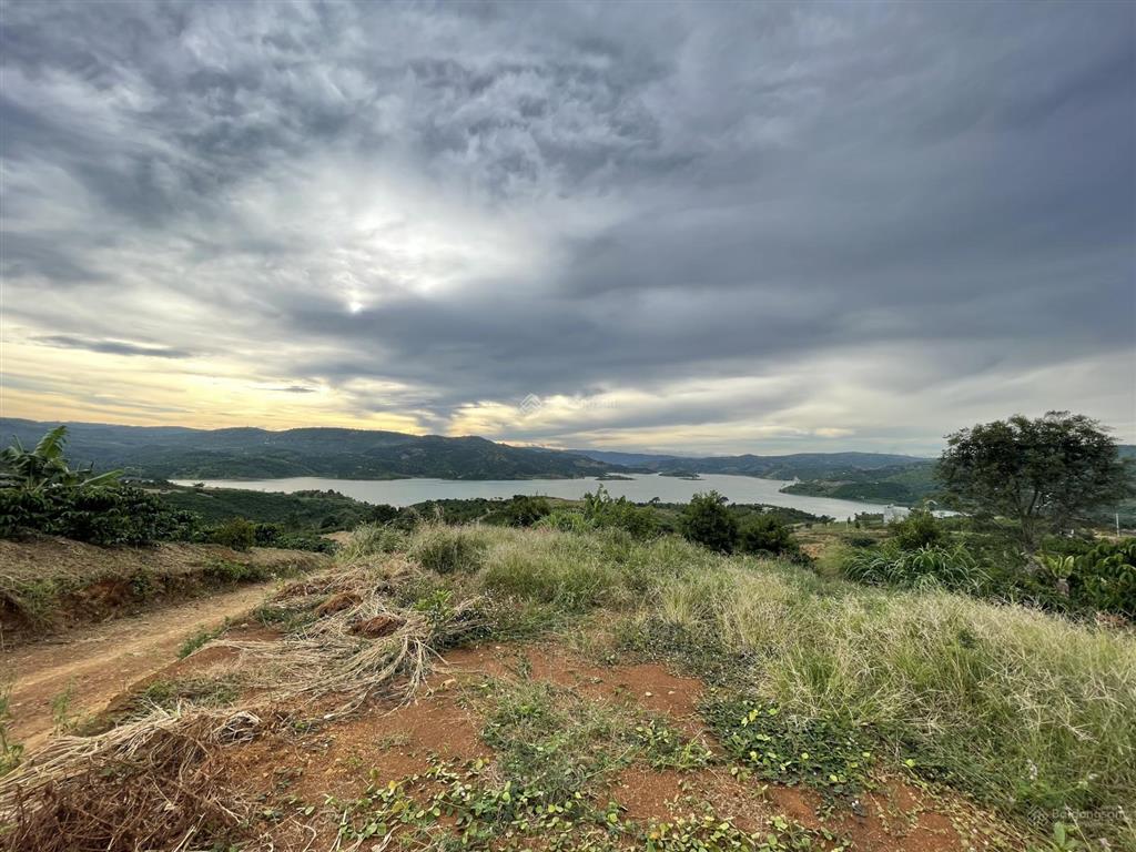 Bán đất view sông ven đà lạt. 6,5 tỷ, 17572 m2 đang trồng cà phê hàng hiếm giá tốt