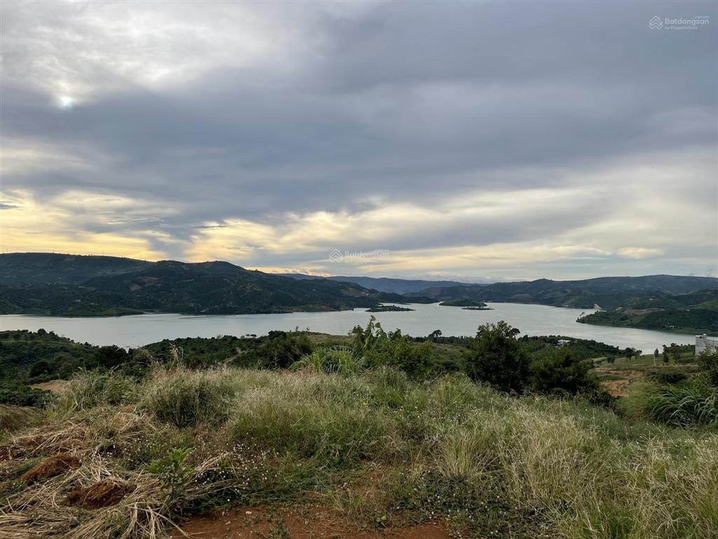 Bán đất view sông ven đà lạt. 6,5 tỷ, 17572 m2 đang trồng cà phê hàng hiếm giá tốt