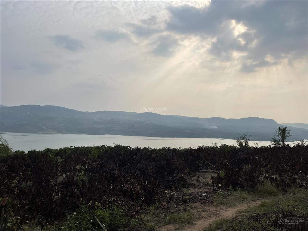 Bán đất view sông ven đà lạt. 6,5 tỷ, 17572 m2 đang trồng cà phê hàng hiếm giá tốt