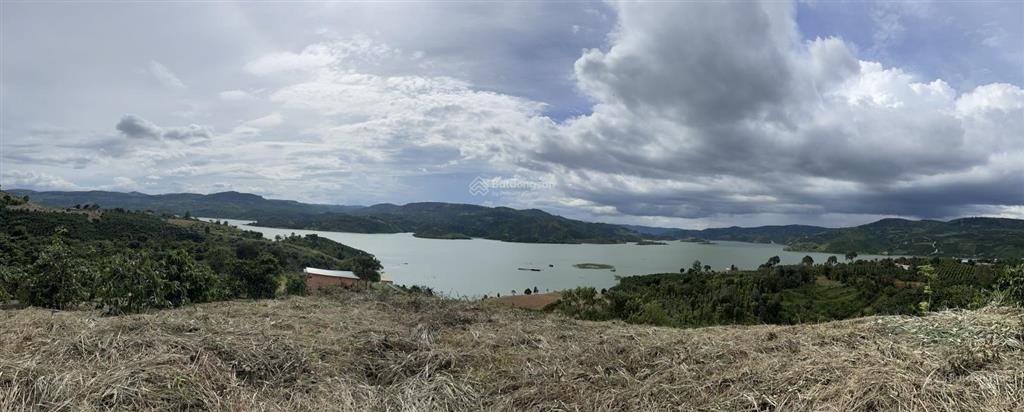 Bán đất view sông ven đà lạt. 6,5 tỷ, 17572 m2 đang trồng cà phê hàng hiếm giá tốt