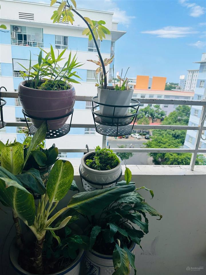 Bán căn góc ct6a vĩnh điềm trung, nha trang. diện tích 70m2, 3 phòng ngủ, giá 2,3 tỷ