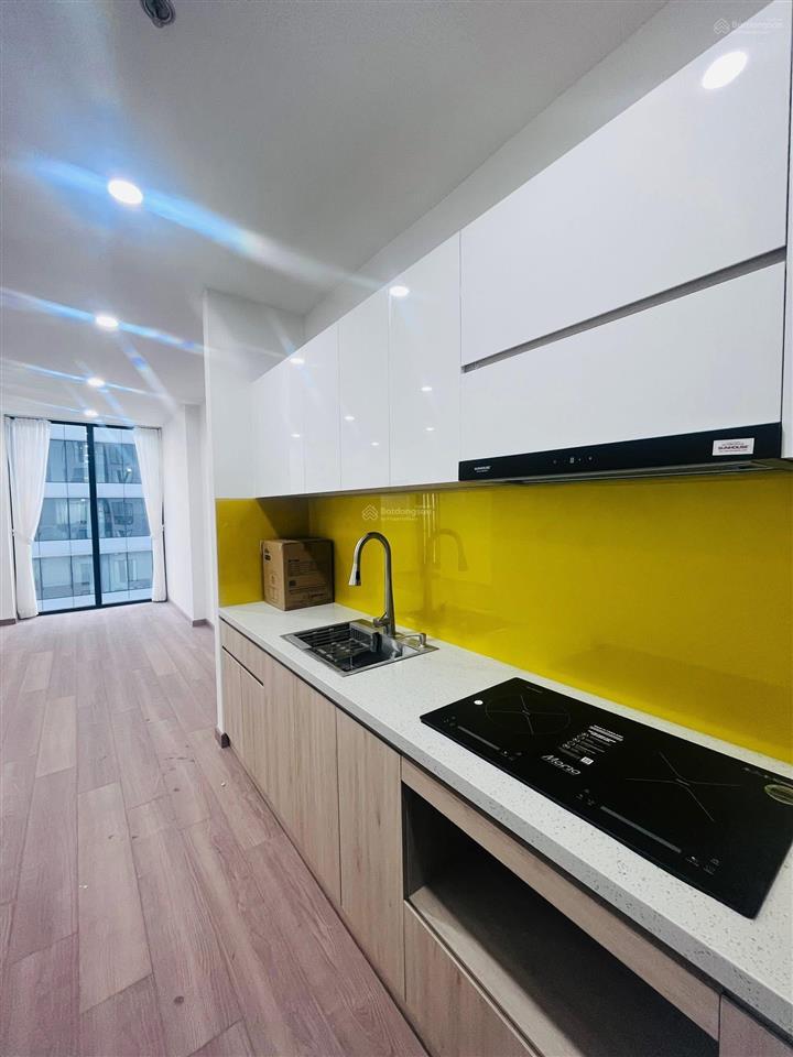 Căn góc 3pn nội thất cơ bản giá chỉ 20 triệu/tháng tại park view bình thạnh