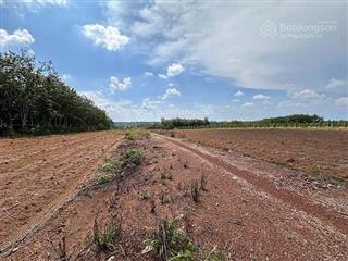 Quyền sử dụng đất thuộc thửa đất số 78, tờ bản đồ số 39 tại kp.tân liên xã đồng phú, tỉnh đồng nai