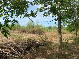 Qsdđ thuộc thửa đất số 79, tờ bản đồ số 44 tại xã hòa bình, huyện xuyên mộc, tỉnh bà rịa vũng tàu