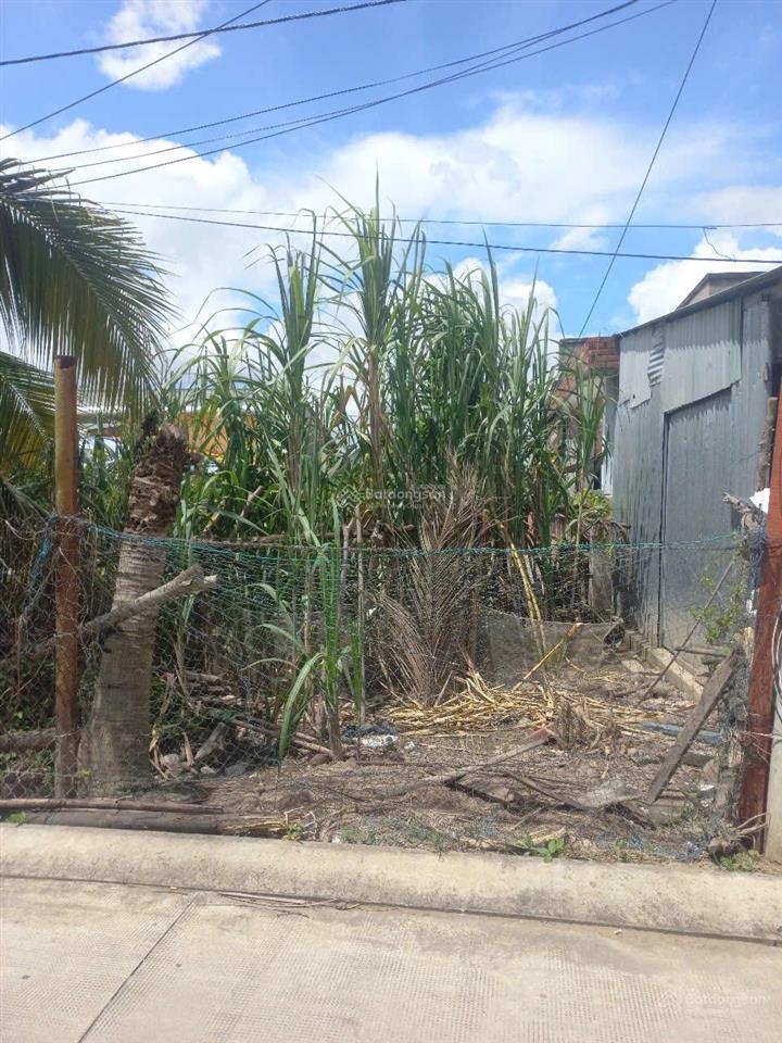 Qsdđ thuộc thửa đất số 106, tbđ số 48 tại ấp thạnh quí, tt.thạnh phú, huyện thạnh phú, tỉnh bến tre