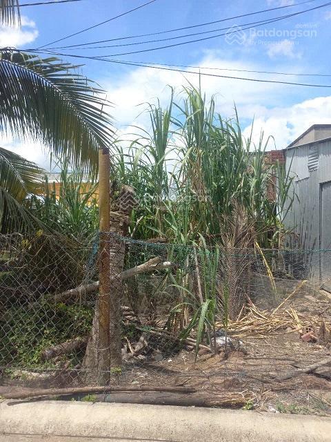 Qsdđ thuộc thửa đất số 106, tbđ số 48 tại ấp thạnh quí, tt.thạnh phú, huyện thạnh phú, tỉnh bến tre